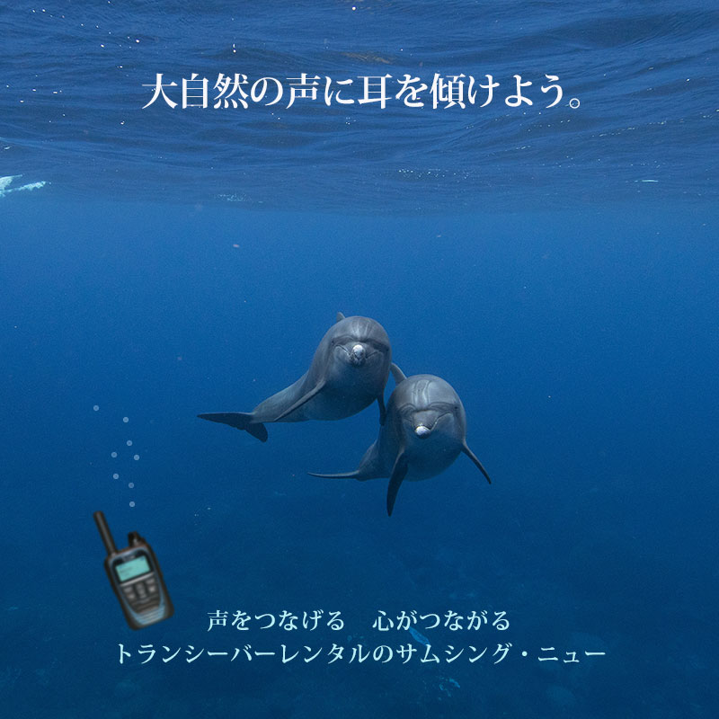 トランシーバーレンタル 業界最安値 を目指す株式会社サムシング ニュー トランシーバーレンタル 業界最安値 を目指す株式会社サムシング ニュー