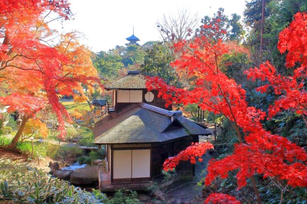 聴秋閣から三重塔を望む