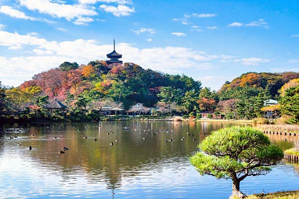 三溪園の大池と旧燈明寺三重塔
