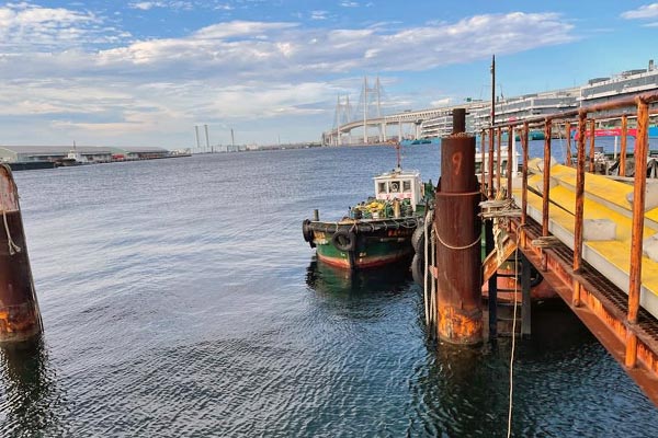 Y.C.Cすぐ下の桟橋からベイブリッジを望む