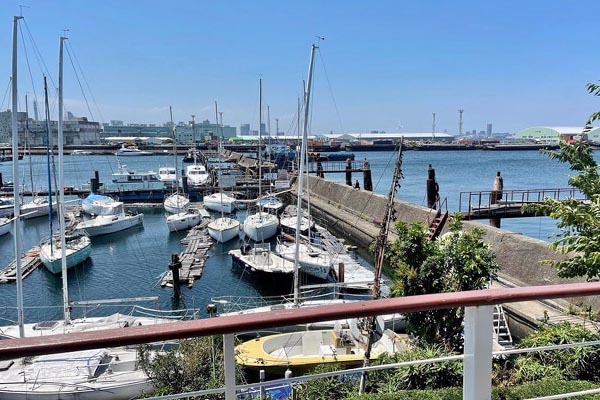 Y.C.C会員のヨットたちがすぐ隣に停泊しています